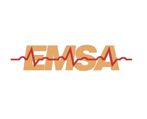 Emergency Medical Services Authority (EMSA) in 2020 - American Ambulance  Association