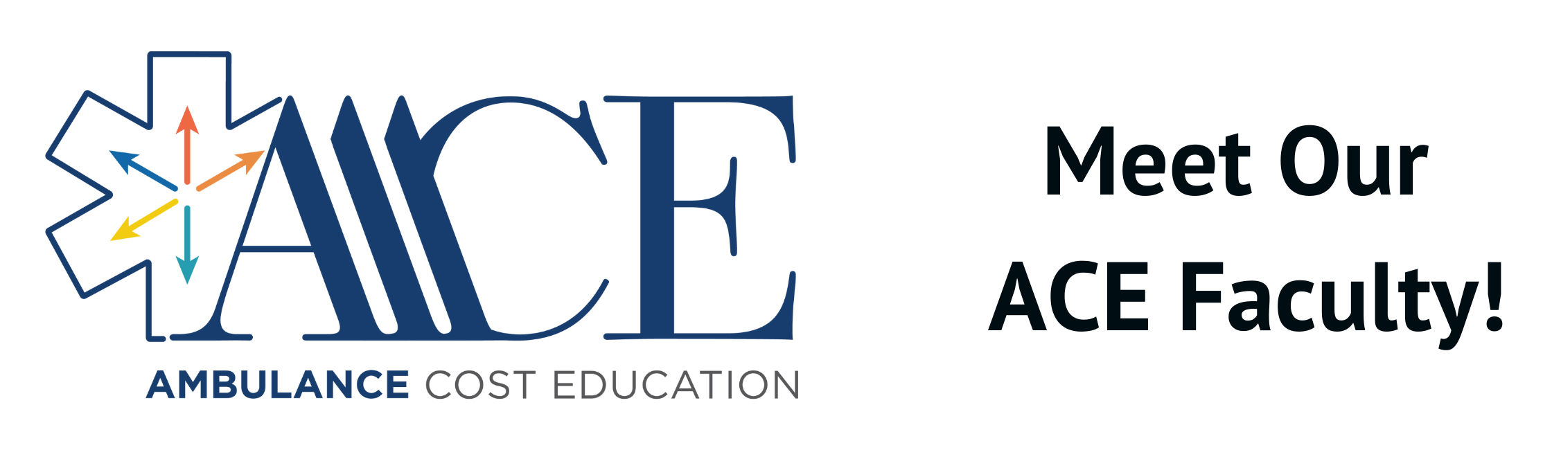 Meet Our ACE Faculty